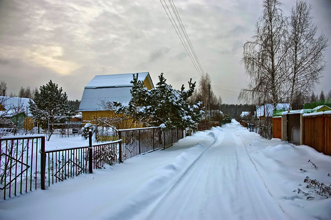 100220_01.jpg